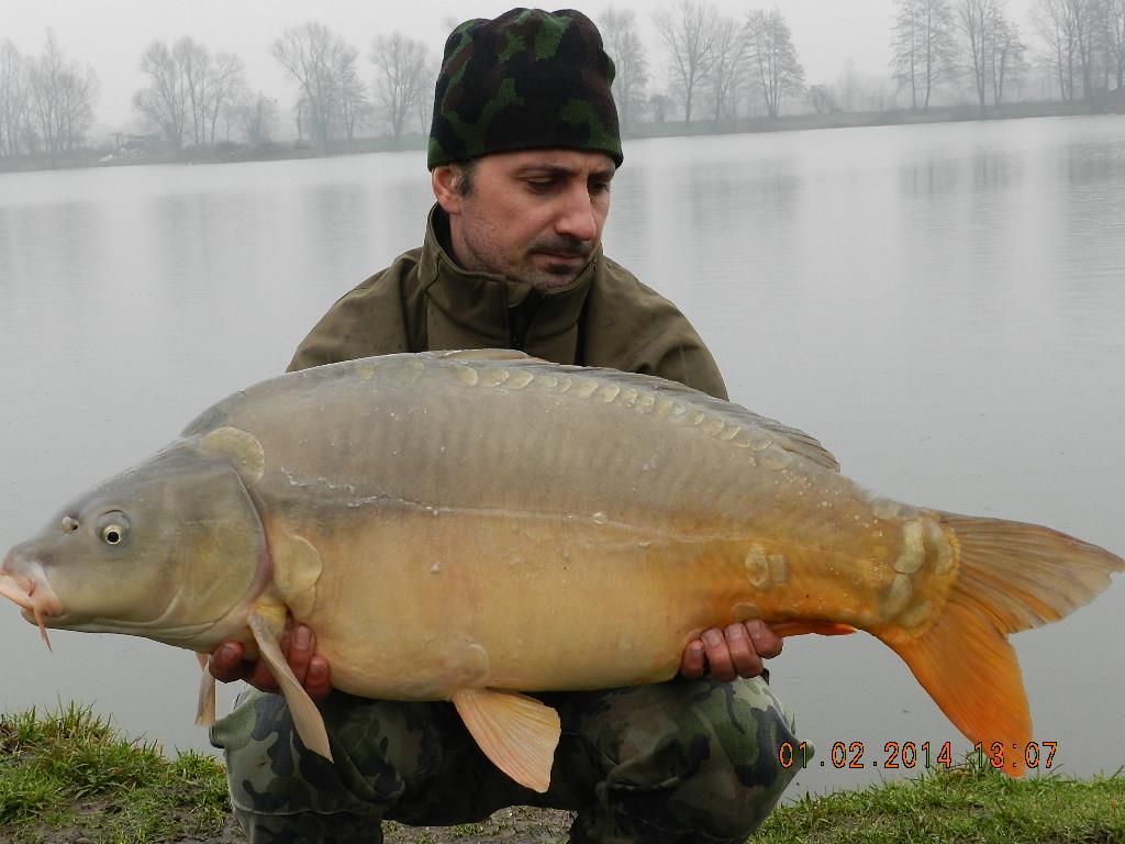 01/02/20014 - dscn1915.JPG